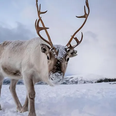 Cozy Aurora I Near Center *